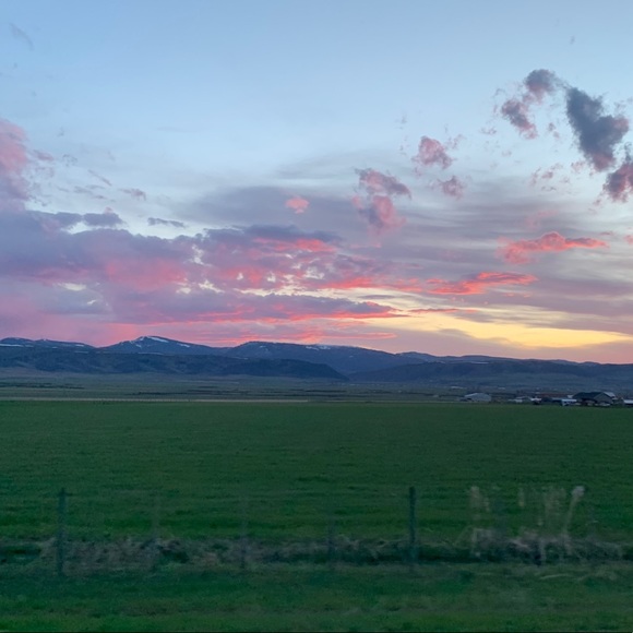 Meet your Posher, Kyle - Picture 1 of 1